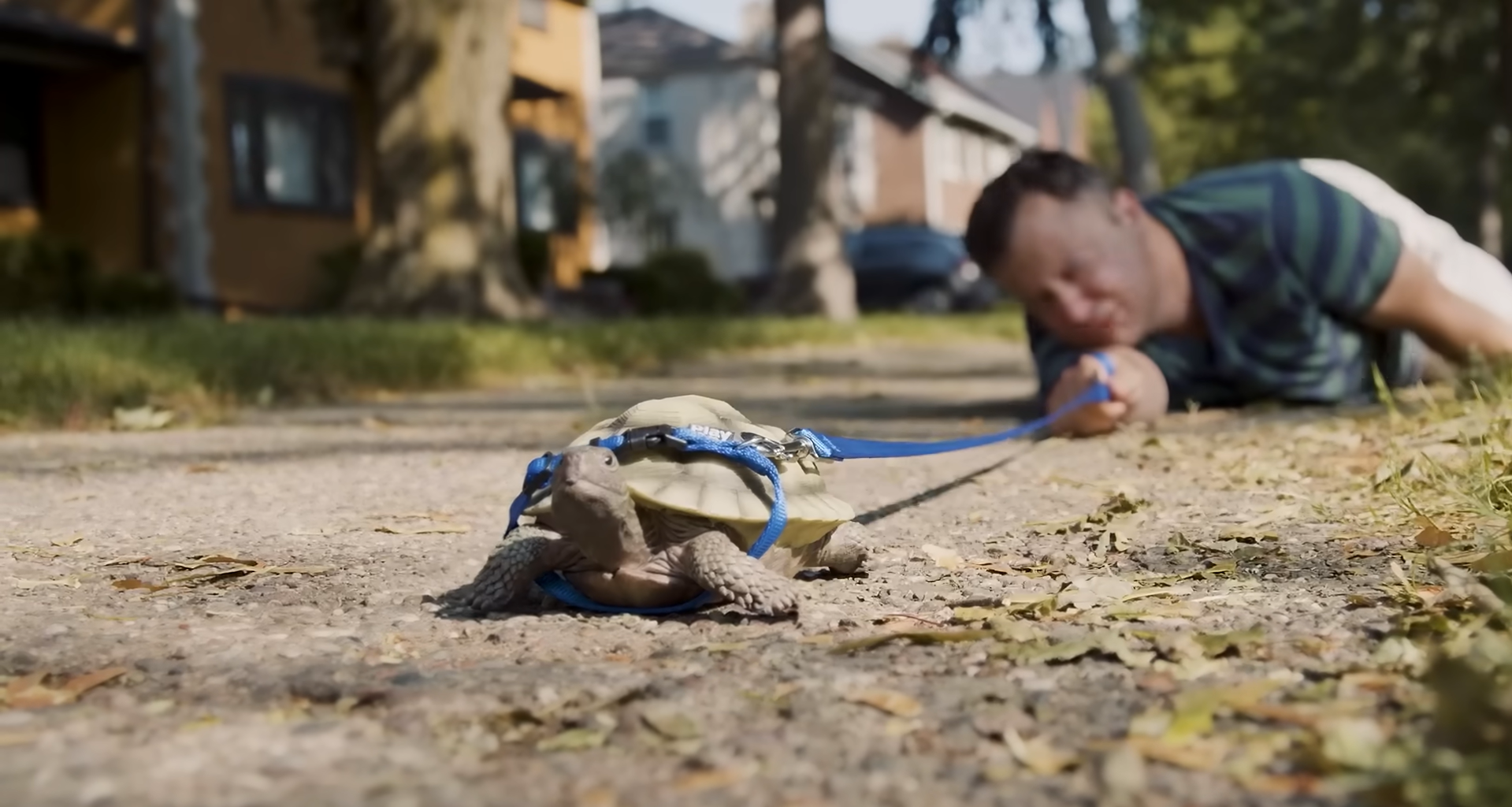 Load video: 